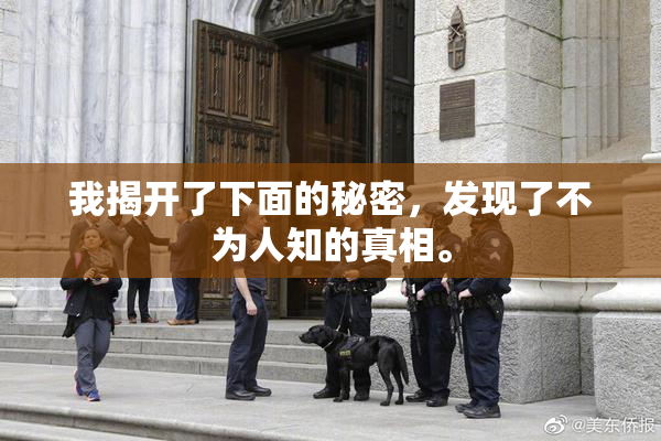 我揭开了下面的秘密，发现了不为人知的真相。