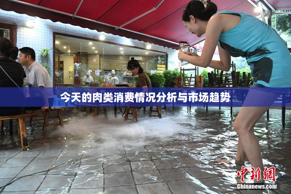 今天的肉类消费情况分析与市场趋势