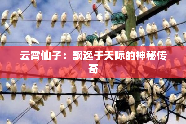 云霄仙子：飘逸于天际的神秘传奇