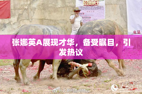 张娜英A展现才华，备受瞩目，引发热议