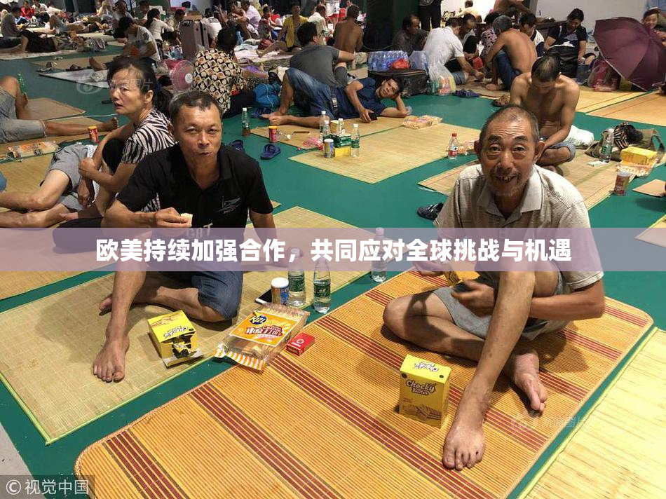 欧美持续加强合作，共同应对全球挑战与机遇