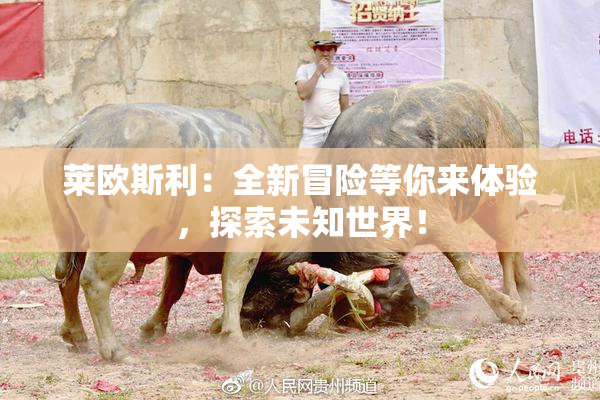 莱欧斯利:全新冒险等你来体验,探索未知世界!