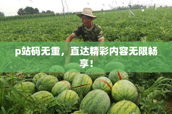 p站码无重，直达精彩内容无限畅享！
