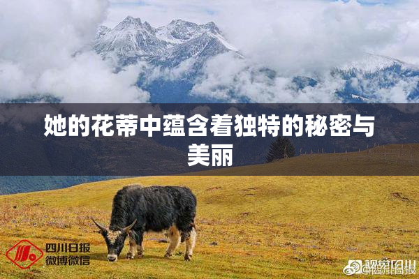 她的花蒂中蕴含着独特的秘密与美丽