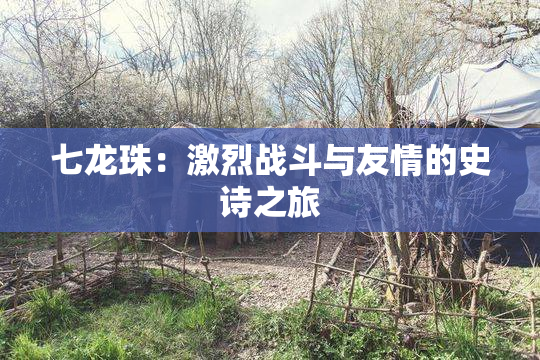 七龙珠：激烈战斗与友情的史诗之旅