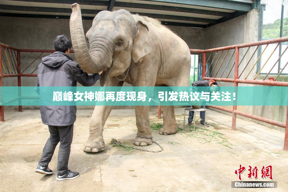 巅峰女神娜再度现身，引发热议与关注！