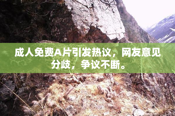 成人免费A片引发热议，网友意见分歧，争议不断。