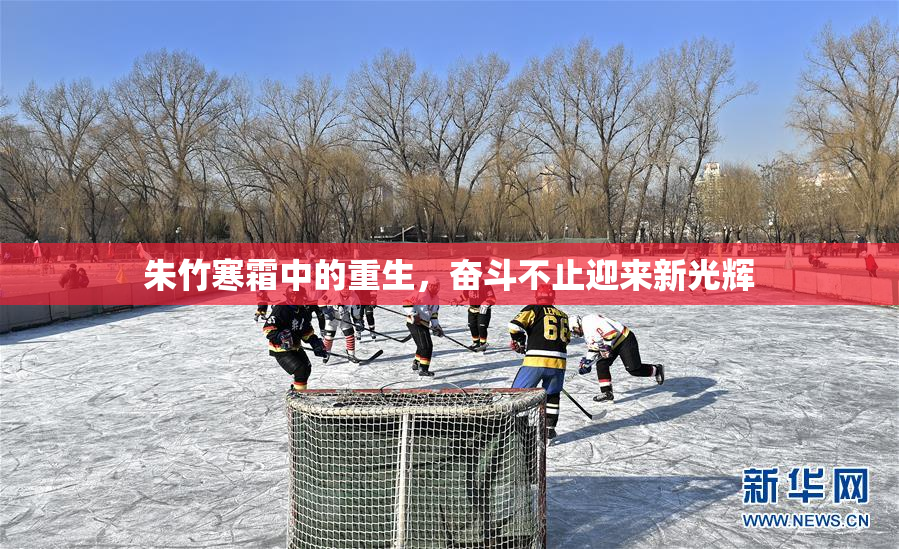 朱竹寒霜中的重生，奋斗不止迎来新光辉
