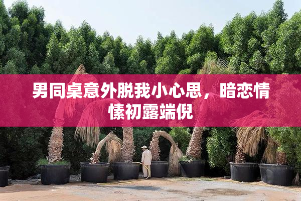 男同桌意外脱我小心思，暗恋情愫初露端倪