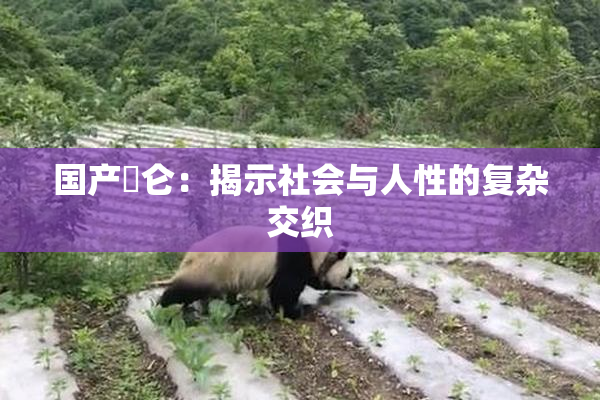 国产婬仑：揭示社会与人性的复杂交织