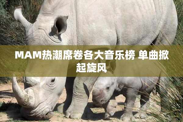 MAM热潮席卷各大音乐榜 单曲掀起旋风