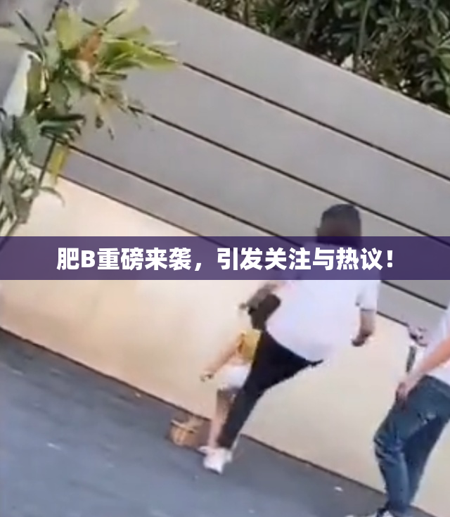 肥B重磅来袭，引发关注与热议！