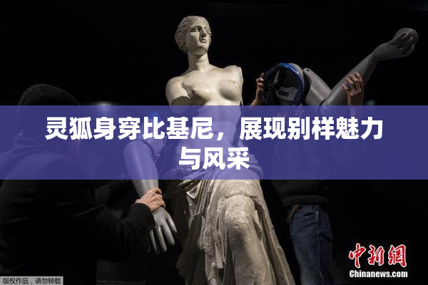 灵狐身穿比基尼，展现别样魅力与风采