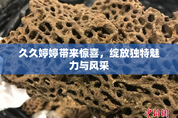 久久婷婷带来惊喜，绽放独特魅力与风采