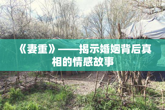 《妻重》——揭示婚姻背后真相的情感故事