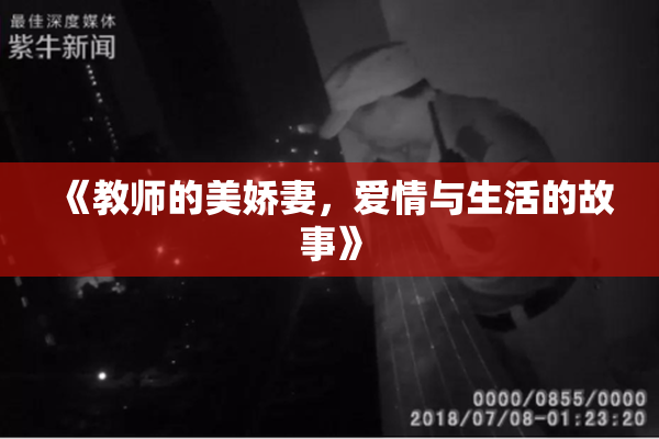 《教师的美娇妻，爱情与生活的故事》