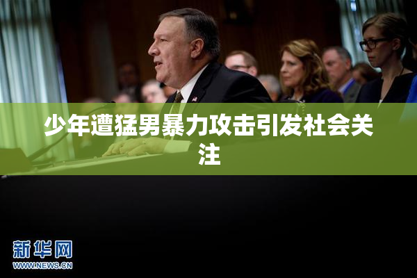 少年遭猛男暴力攻击引发社会关注