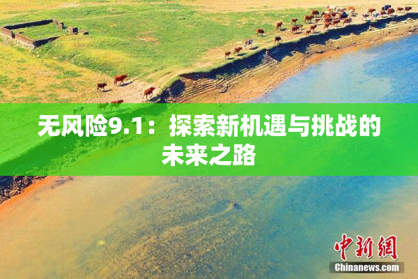 无风险9.1：探索新机遇与挑战的未来之路