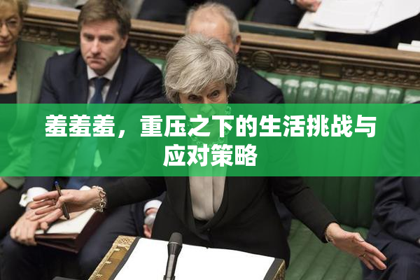 羞羞羞，重压之下的生活挑战与应对策略