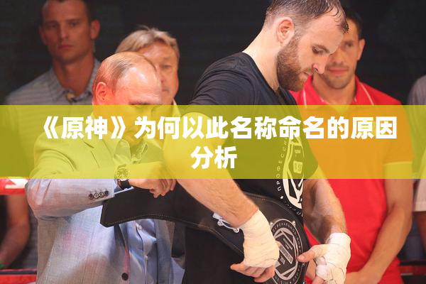 《原神》为何以此名称命名的原因分析
