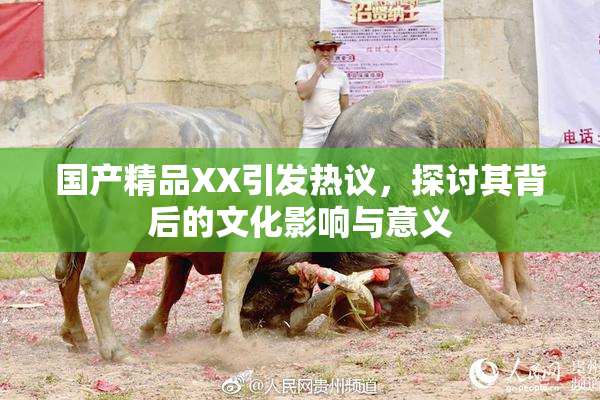 国产精品XX引发热议，探讨其背后的文化影响与意义