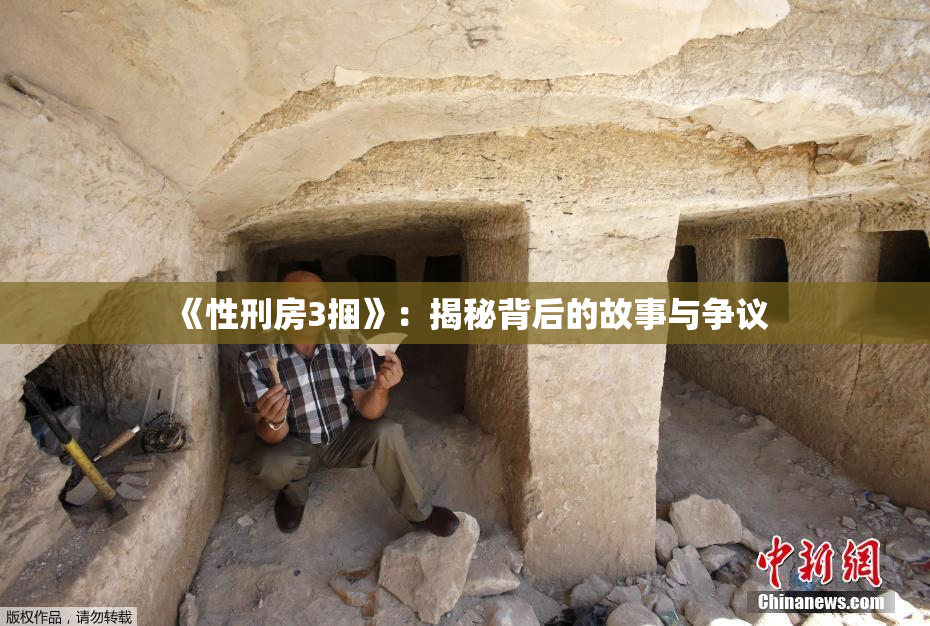 《性刑房3捆》:揭秘背后的故事与争议