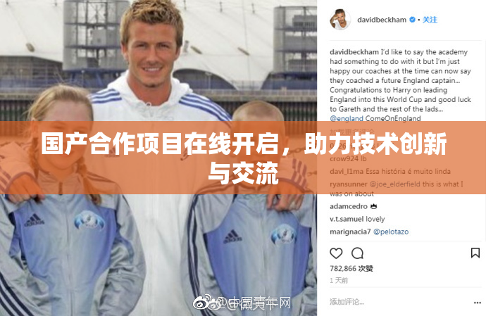 国产合作项目在线开启，助力技术创新与交流