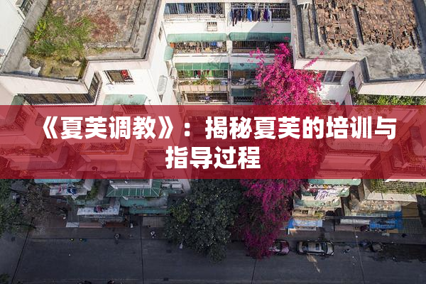 《夏芙调教》：揭秘夏芙的培训与指导过程