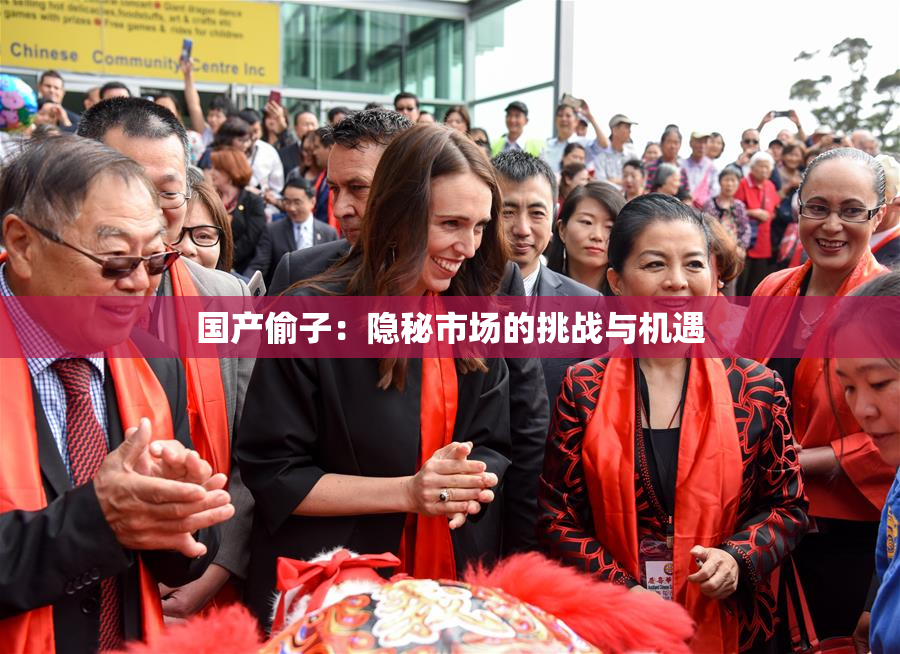 国产偷子：隐秘市场的挑战与机遇