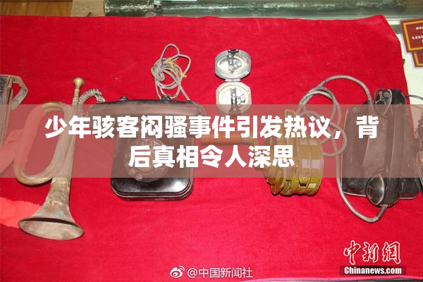 少年骇客闷骚事件引发热议，背后真相令人深思