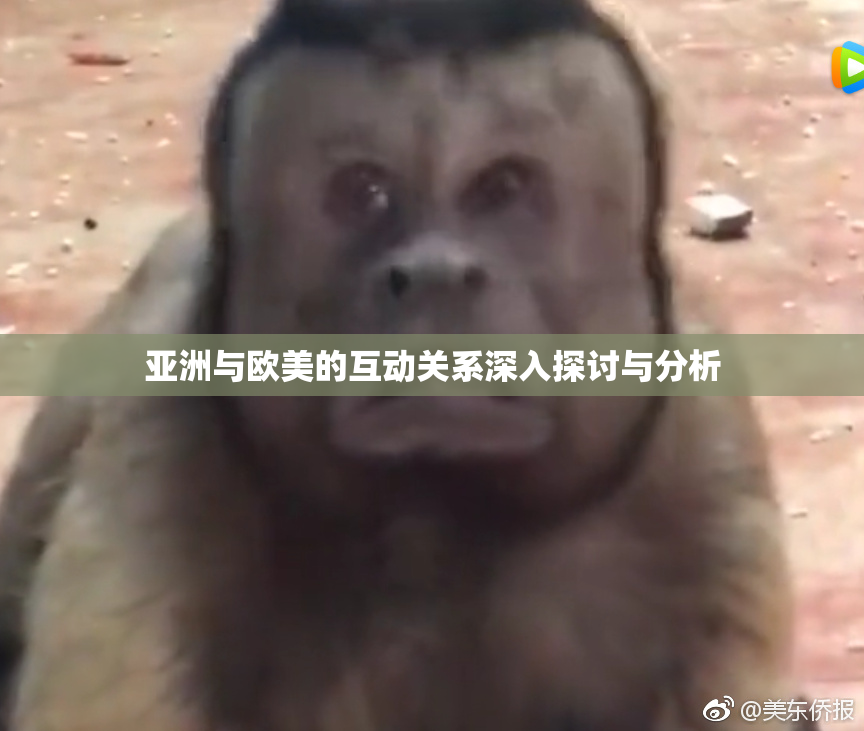 亚洲与欧美的互动关系深入探讨与分析