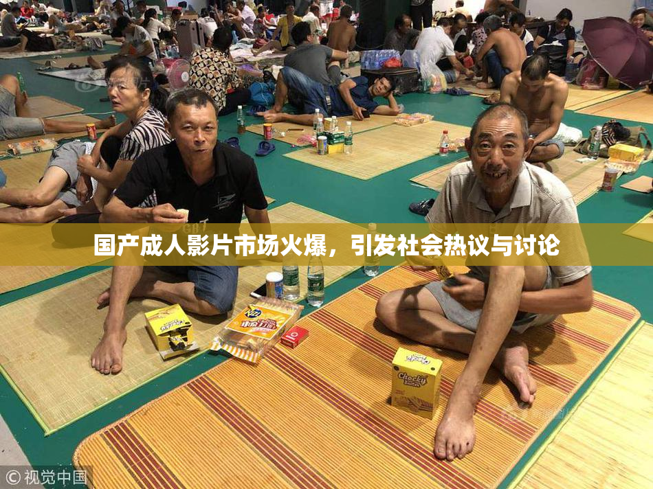 国产成人影片市场火爆，引发社会热议与讨论
