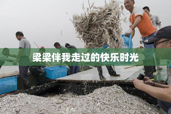 梁梁伴我走过的快乐时光