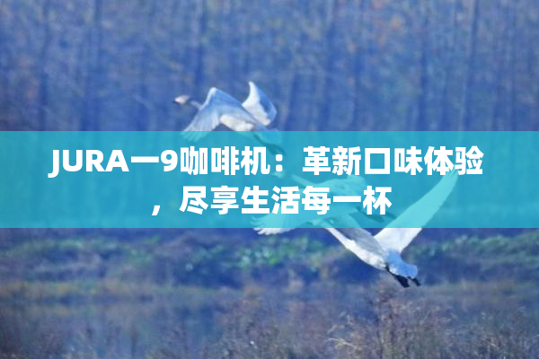 JURA一9咖啡机：革新口味体验，尽享生活每一杯