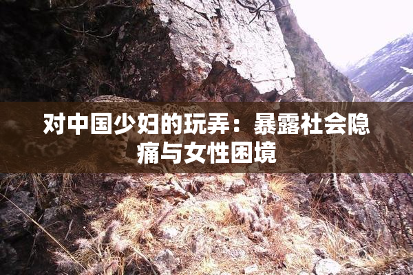 对中国少妇的玩弄：暴露社会隐痛与女性困境