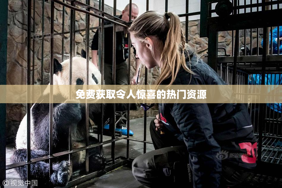 免费获取令人惊喜的热门资源