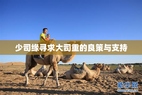 少司缘寻求大司重的良策与支持