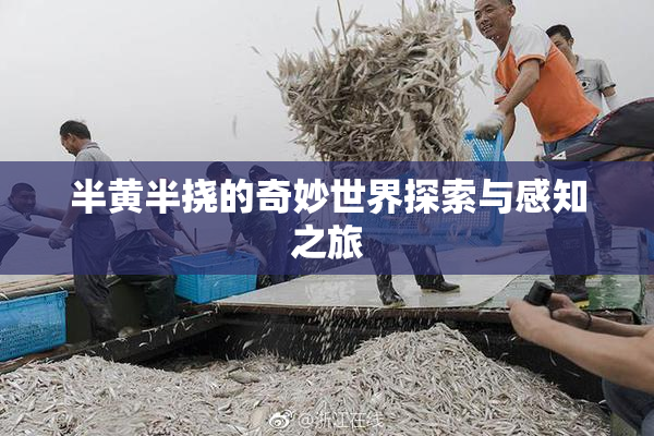 半黄半挠的奇妙世界探索与感知之旅