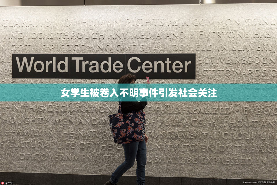 女学生被卷入不明事件引发社会关注