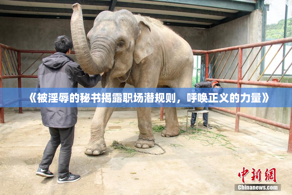 《被淫辱的秘书揭露职场潜规则，呼唤正义的力量》