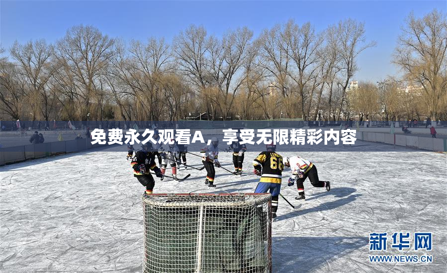 免费永久观看A，享受无限精彩内容