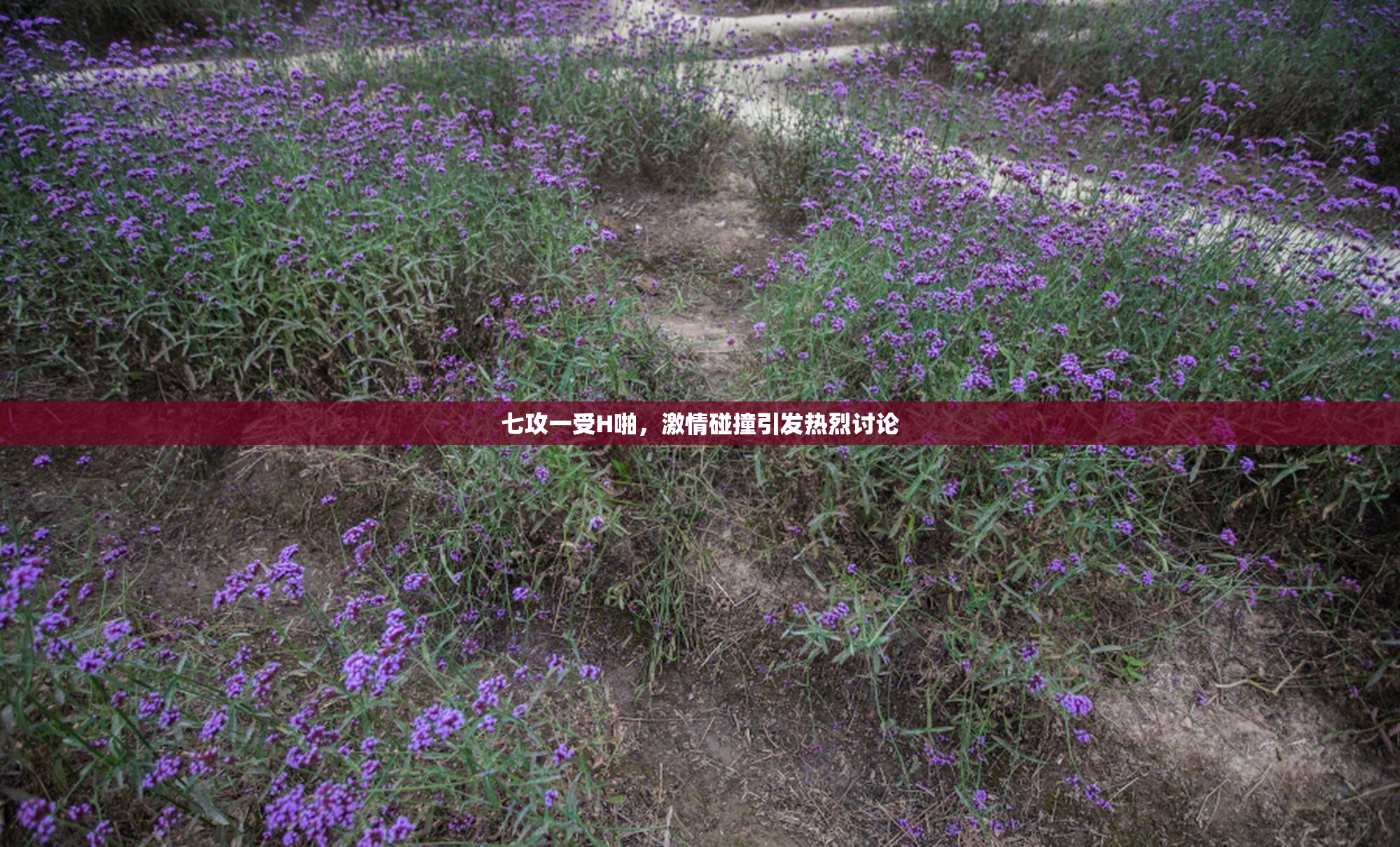 七攻一受H啪，激情碰撞引发热烈讨论