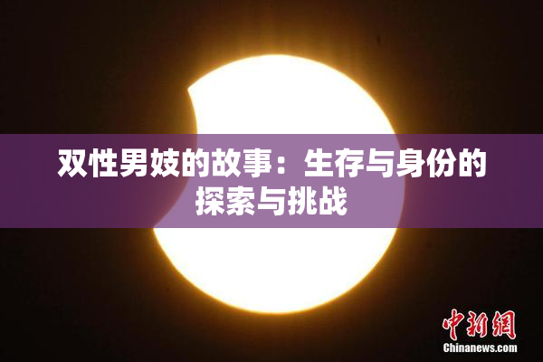 双性男妓的故事：生存与身份的探索与挑战