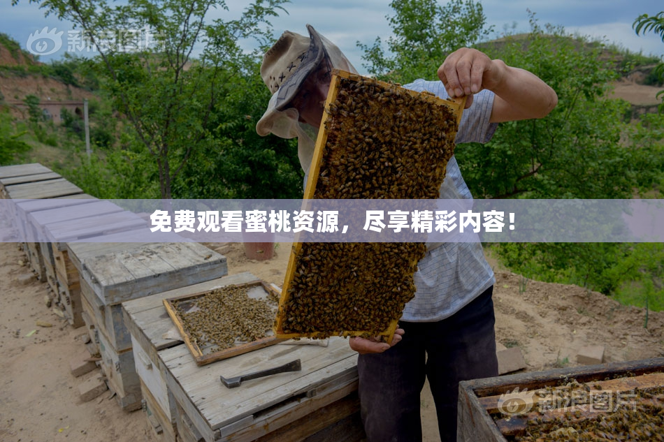免费观看蜜桃资源，尽享精彩内容！