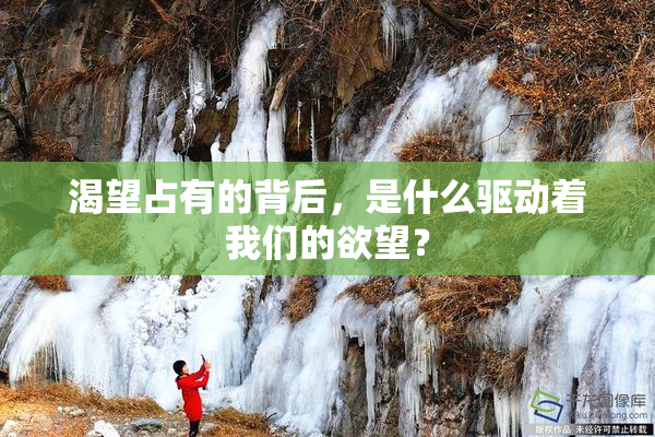 渴望占有的背后，是什么驱动着我们的欲望？