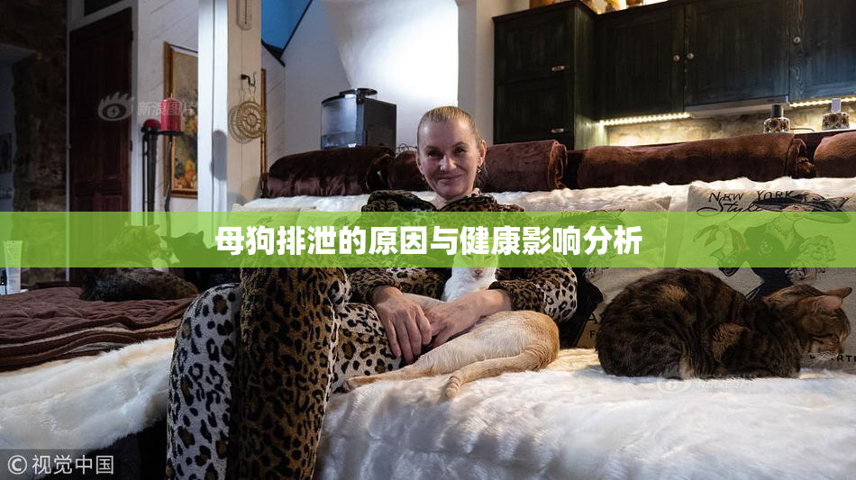 母狗排泄的原因与健康影响分析