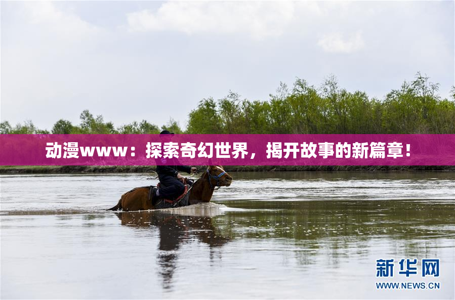 动漫www：探索奇幻世界，揭开故事的新篇章！