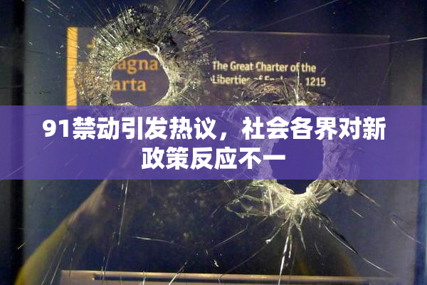 91禁动引发热议，社会各界对新政策反应不一