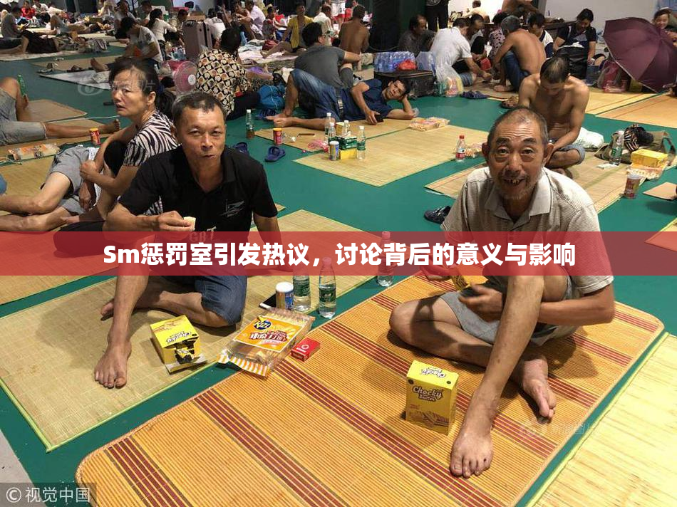 Sm惩罚室引发热议，讨论背后的意义与影响