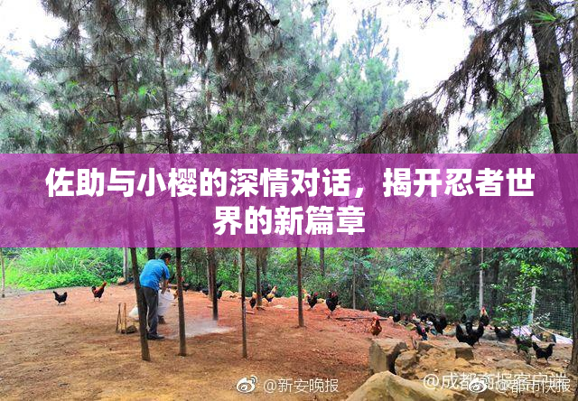 佐助与小樱的深情对话，揭开忍者世界的新篇章